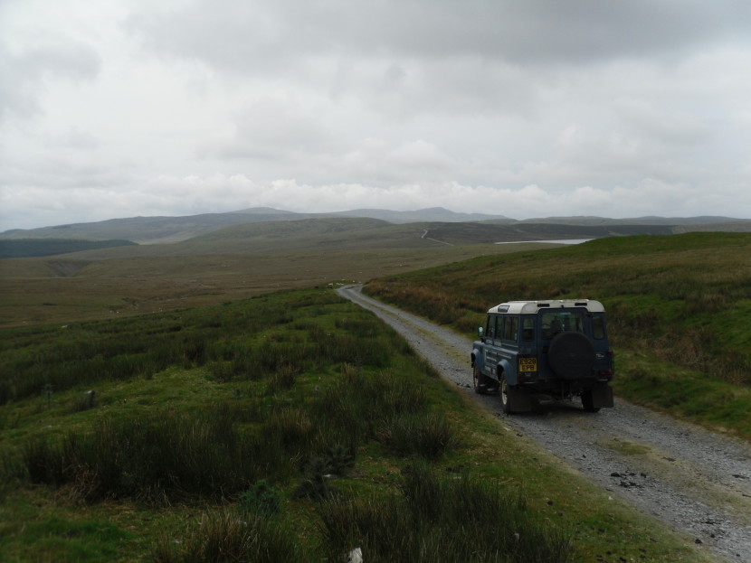 The road to Llyn Bugeilyn